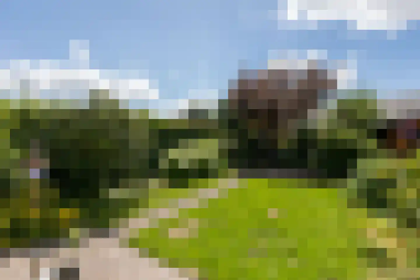 Talingsingel 72 Velp thumbnail 25