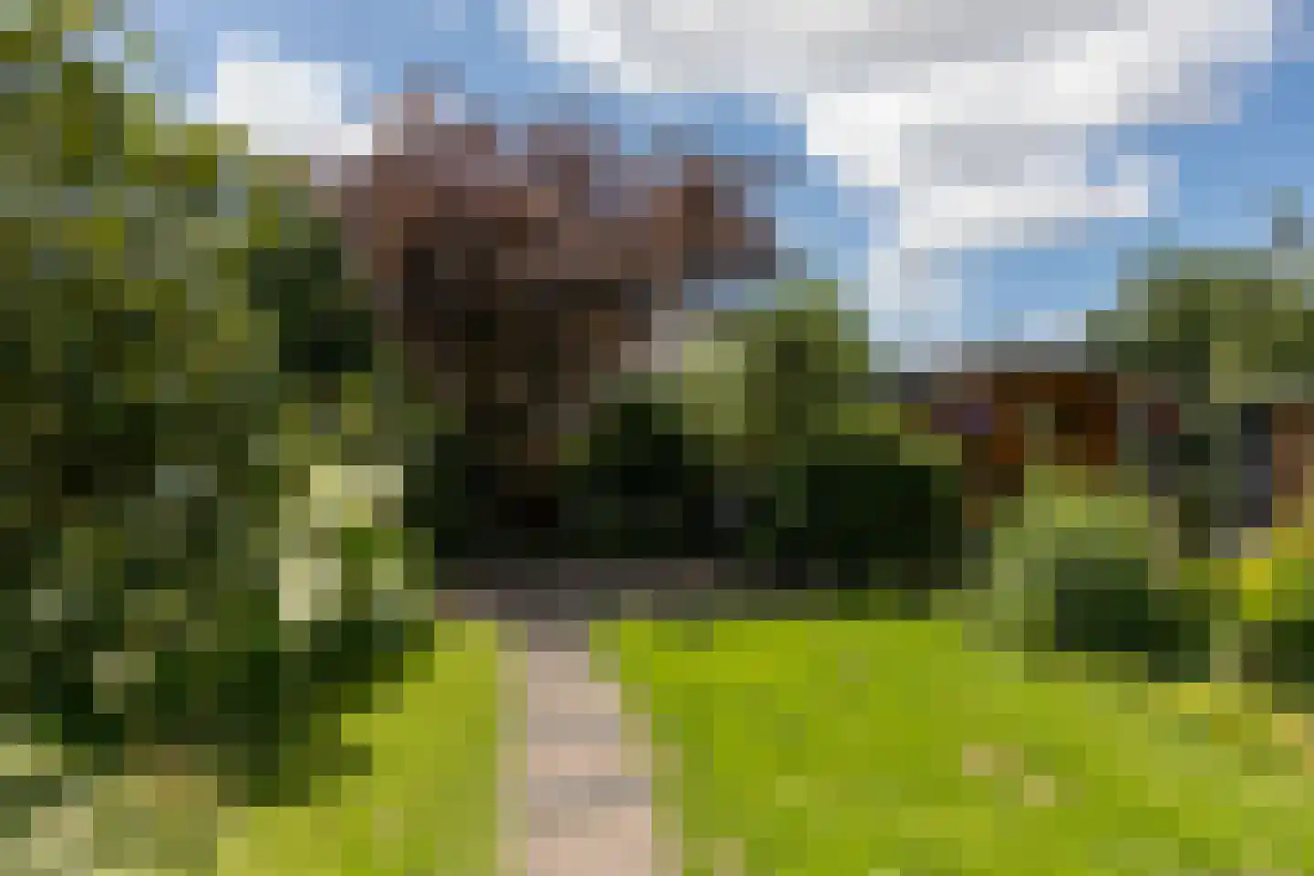 Talingsingel 72 Velp thumbnail 26