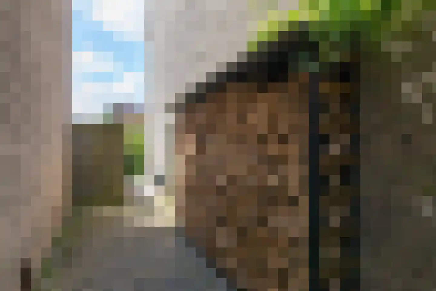 Talingsingel 72 Velp thumbnail 29