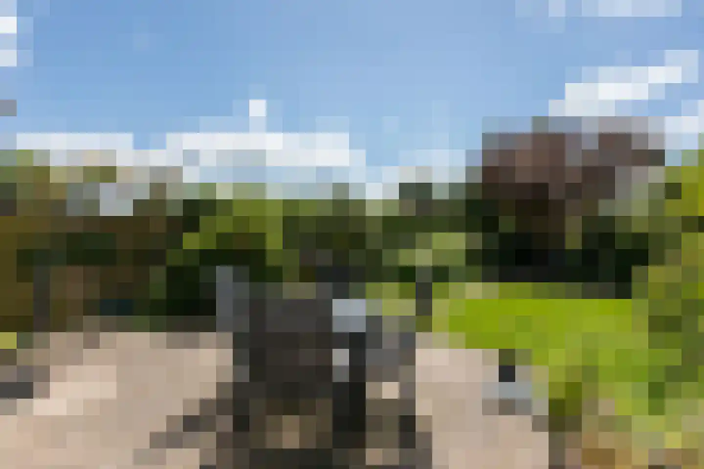 Talingsingel 72 Velp thumbnail 4