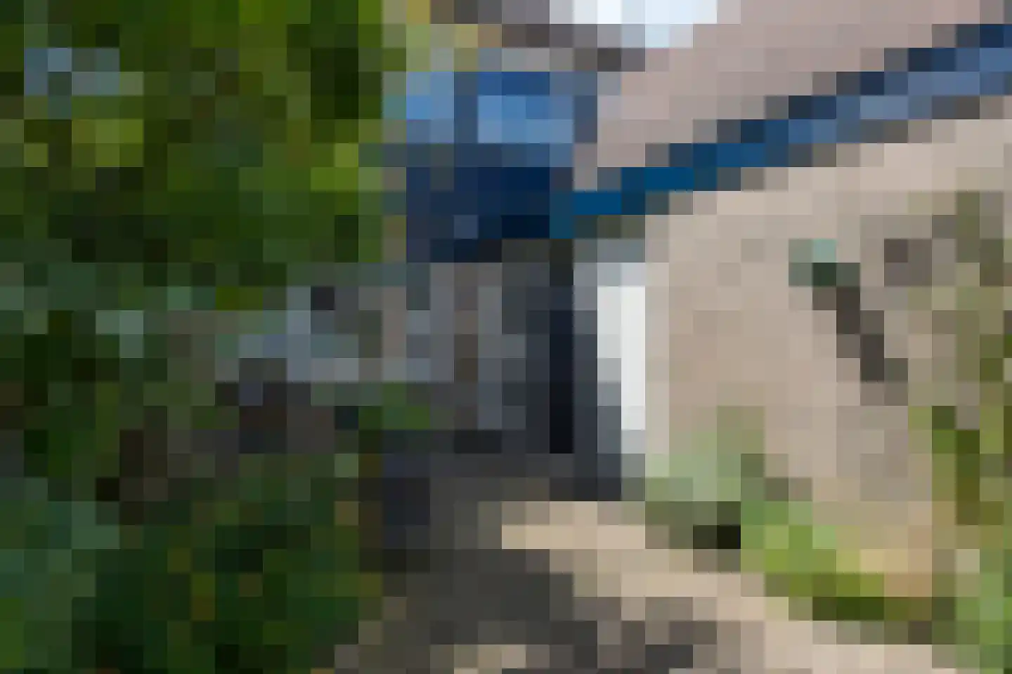 Talingsingel 72 Velp thumbnail 5