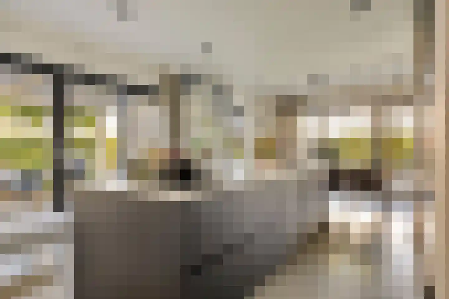 Talingstraat 1 Zierikzee thumbnail 15