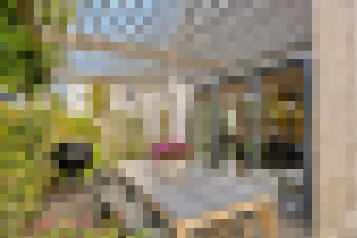 Talingstraat 1 Zierikzee thumbnail 39