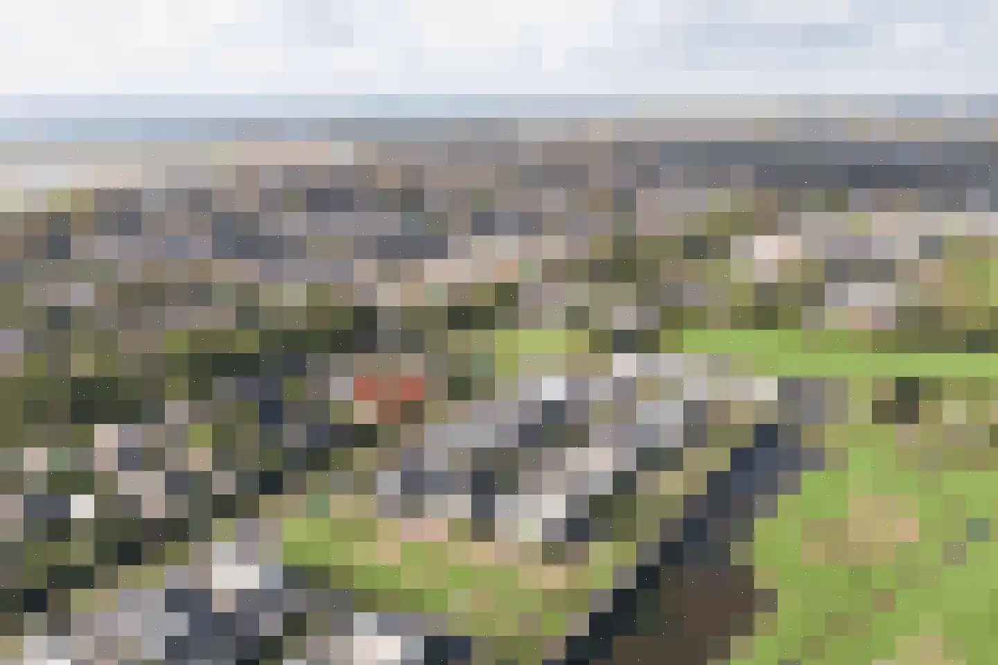 Talingstraat 1 Zierikzee thumbnail 5