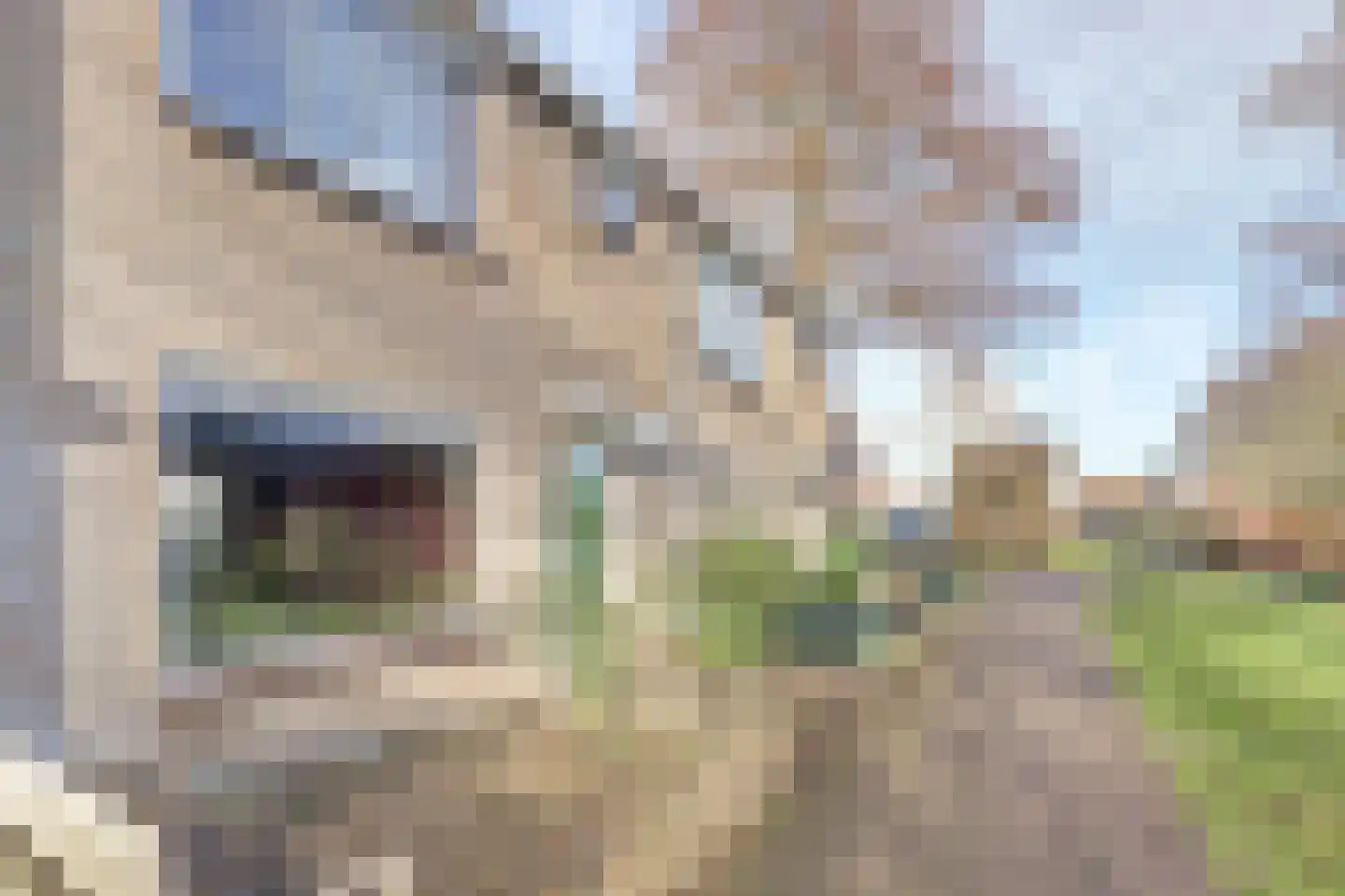 Talingstraat 12 Heinkenszand thumbnail 5