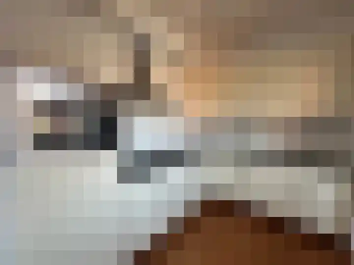 Talingstraat 14 Foxhol thumbnail 10