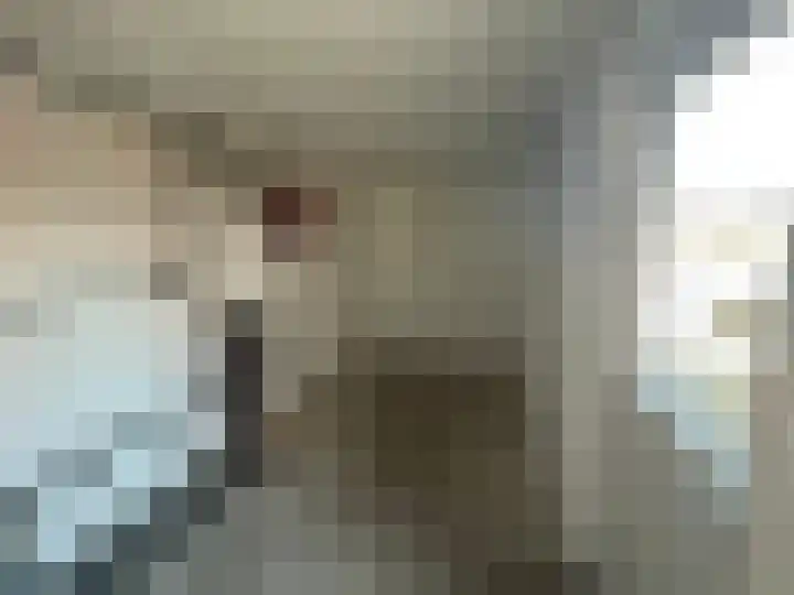 Talingstraat 14 Foxhol thumbnail 11