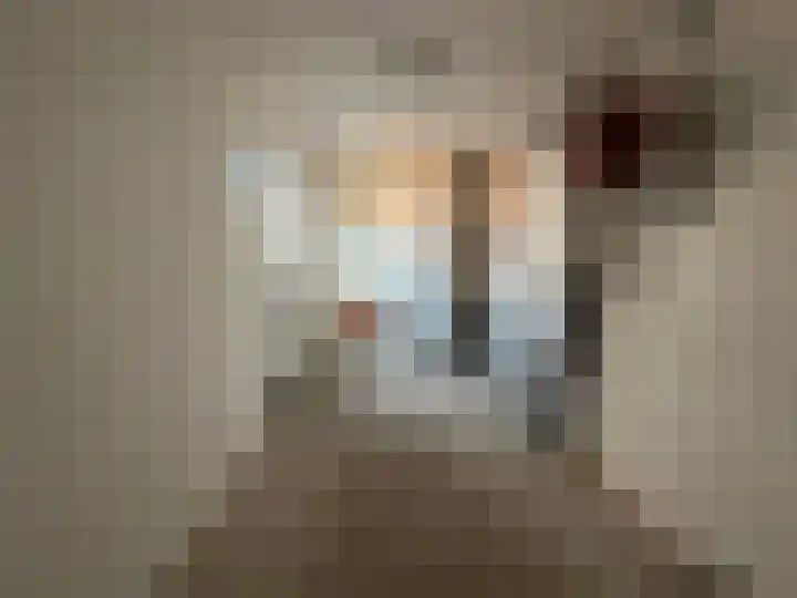 Talingstraat 14 Foxhol thumbnail 12