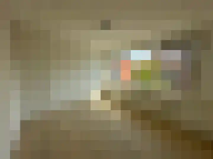 Talingstraat 14 Foxhol thumbnail 16