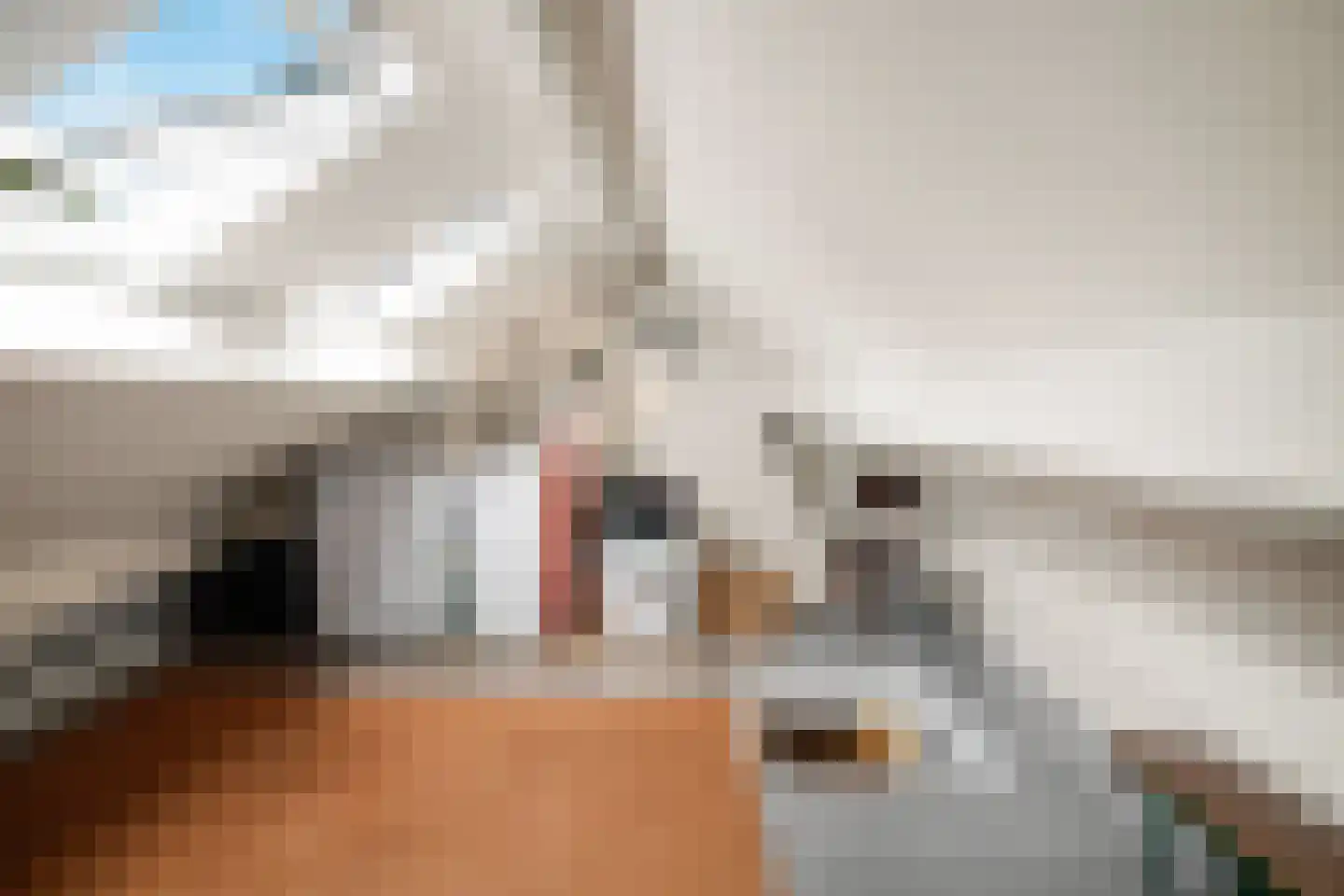 Talingstraat 147 B Rotterdam thumbnail 35