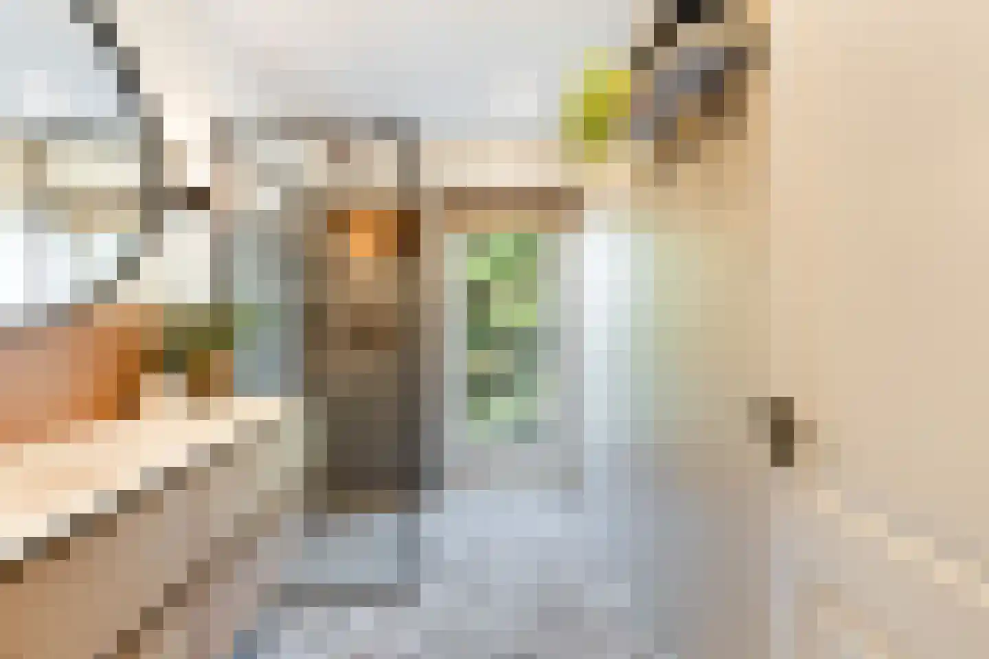 Talingstraat 147 B Rotterdam thumbnail 42