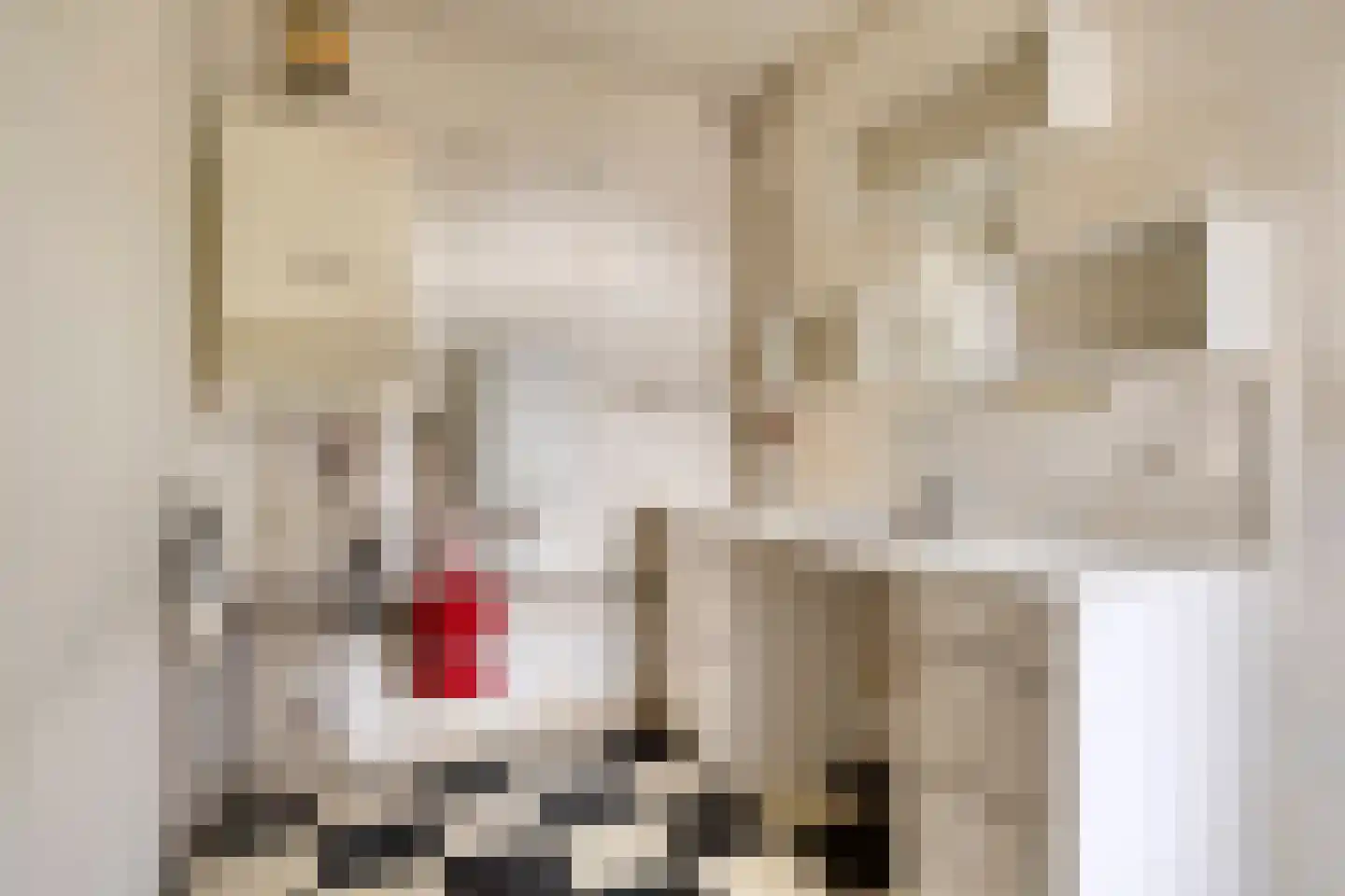 Talingstraat 19 Papendrecht thumbnail 15