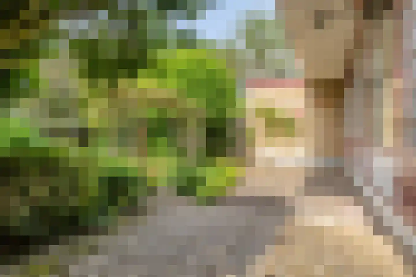 Talingstraat 19 Papendrecht thumbnail 26
