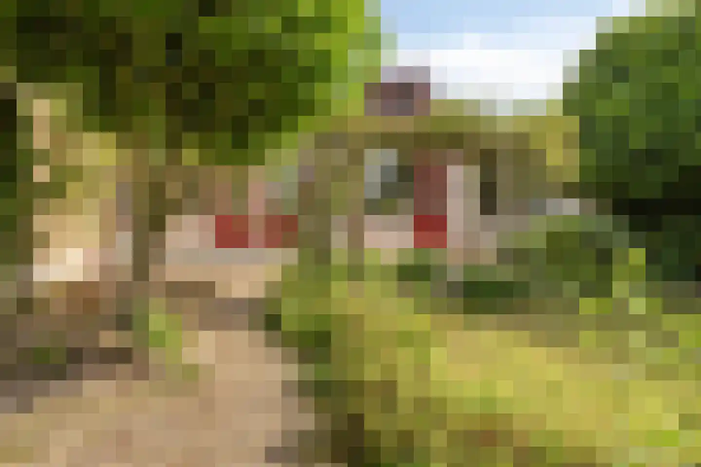 Talingstraat 19 Papendrecht thumbnail 30
