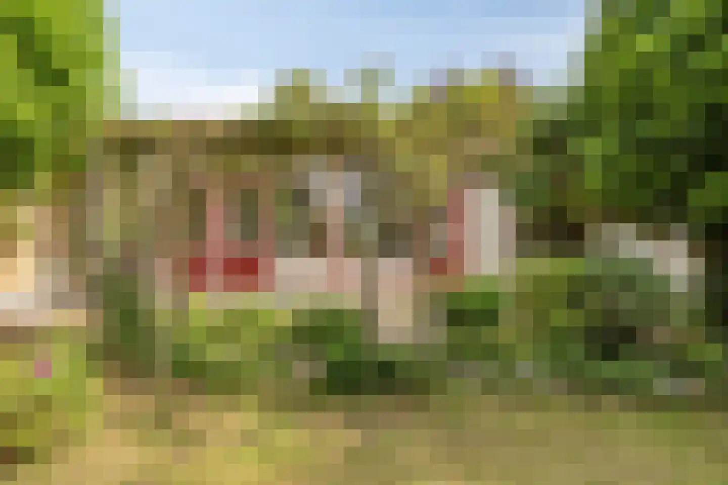 Talingstraat 19 Papendrecht thumbnail 33