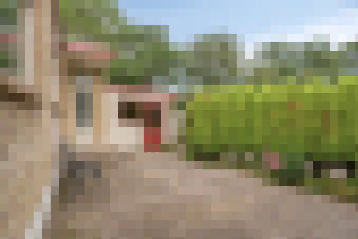 Talingstraat 19 Papendrecht thumbnail 34