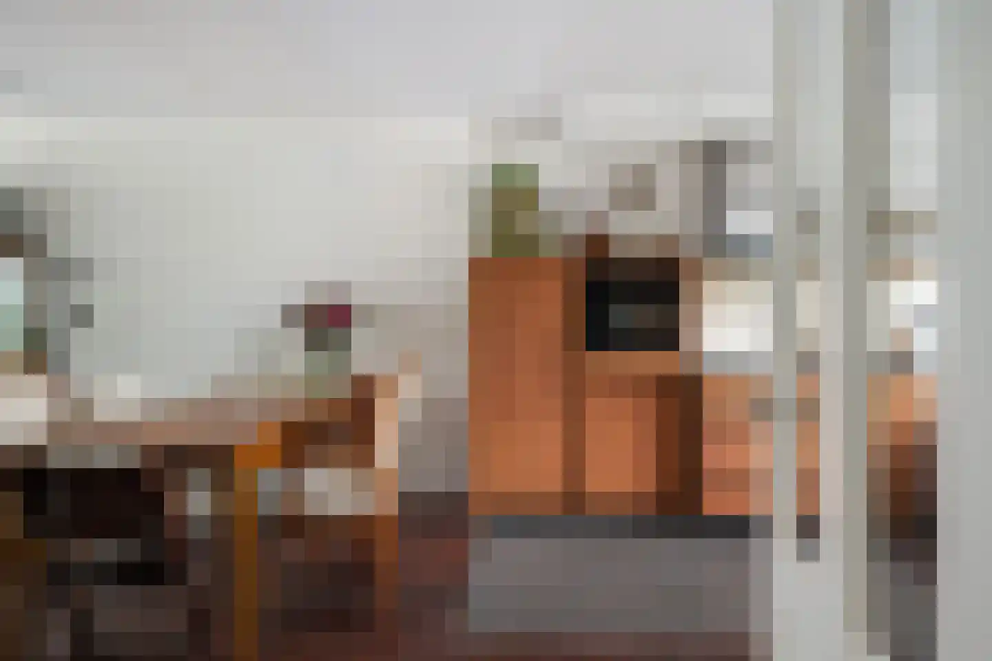 Talingstraat 22 Capelle aan den IJssel thumbnail 12