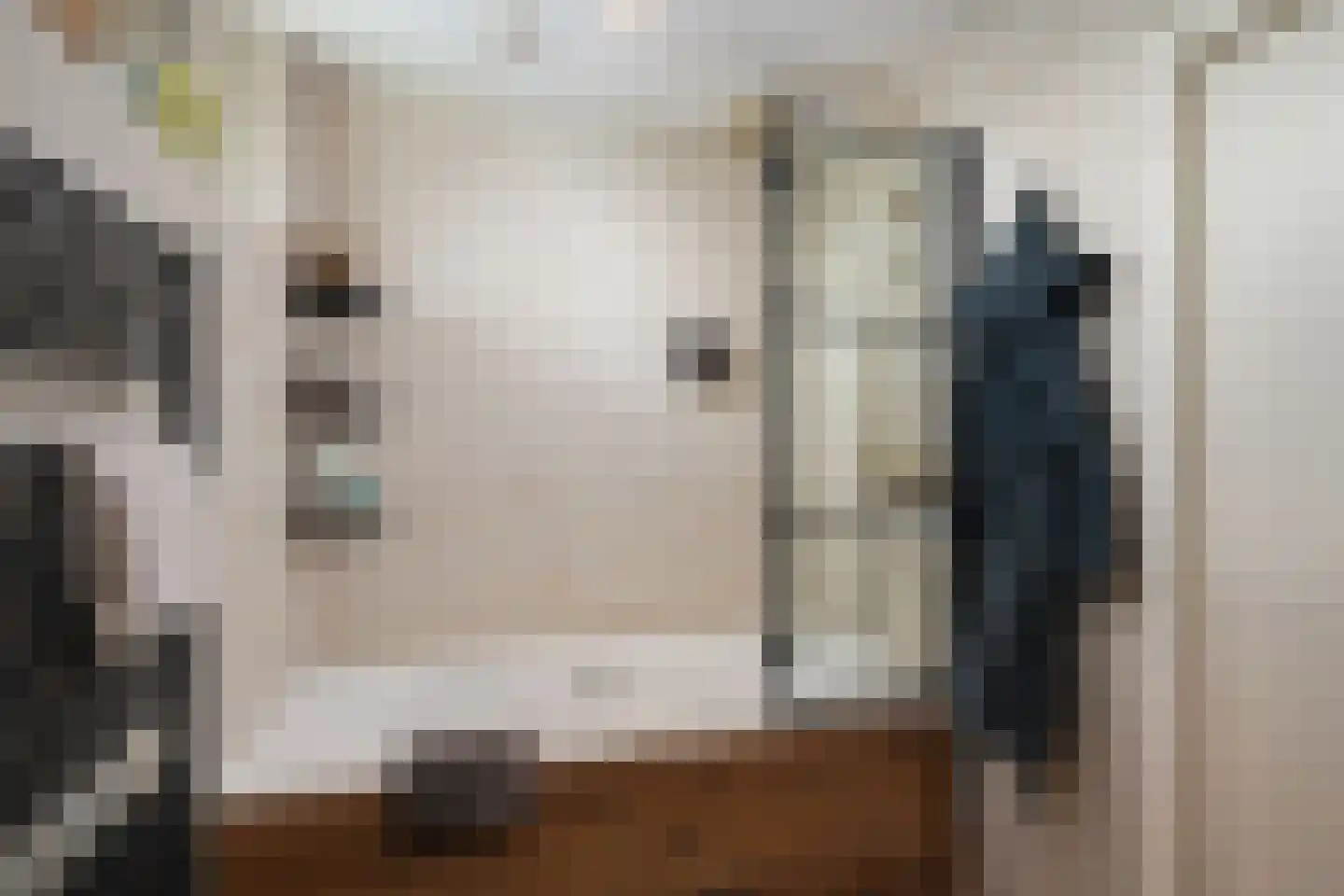 Talingstraat 22 Capelle aan den IJssel thumbnail 24