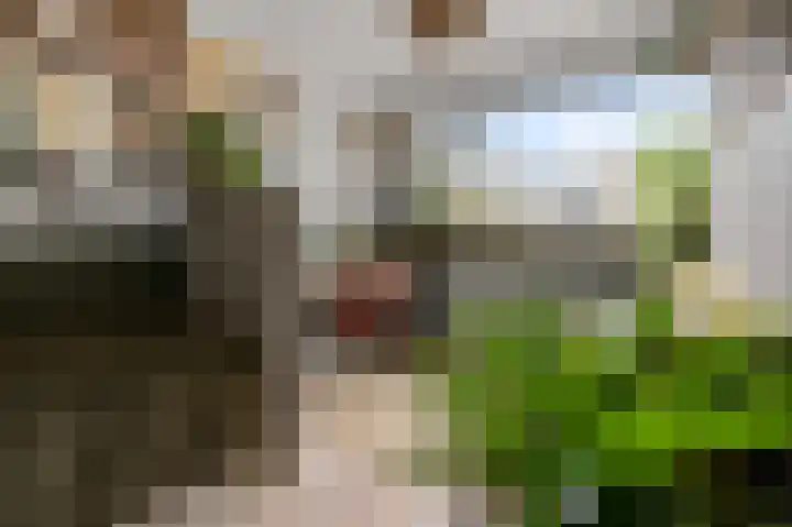 Talingstraat 27 Wormer thumbnail 25