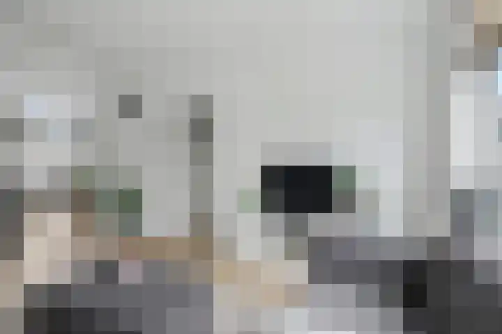 Talingstraat 4 Groet thumbnail 13