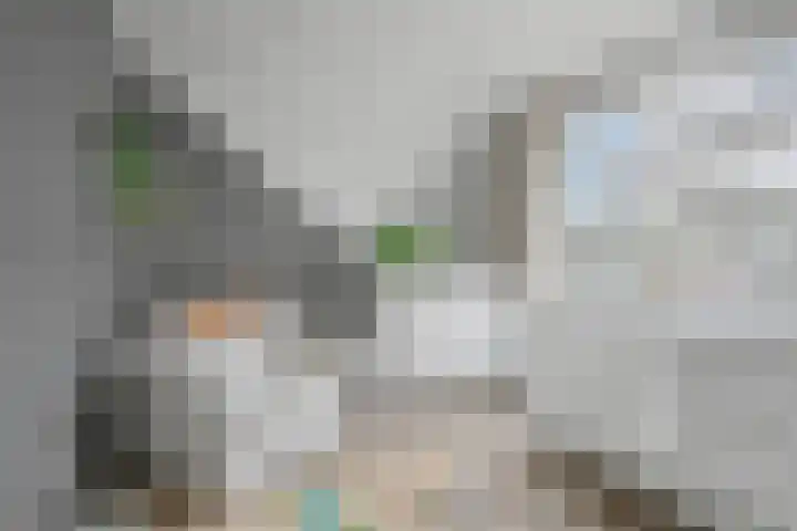 Talingstraat 4 Groet thumbnail 30