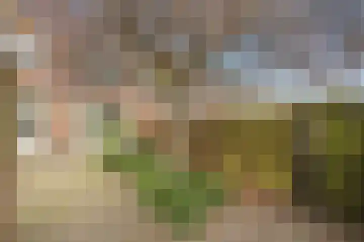 Talingstraat 4 Groet thumbnail 42