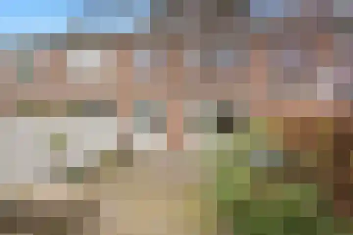 Talingstraat 4 Groet thumbnail 43