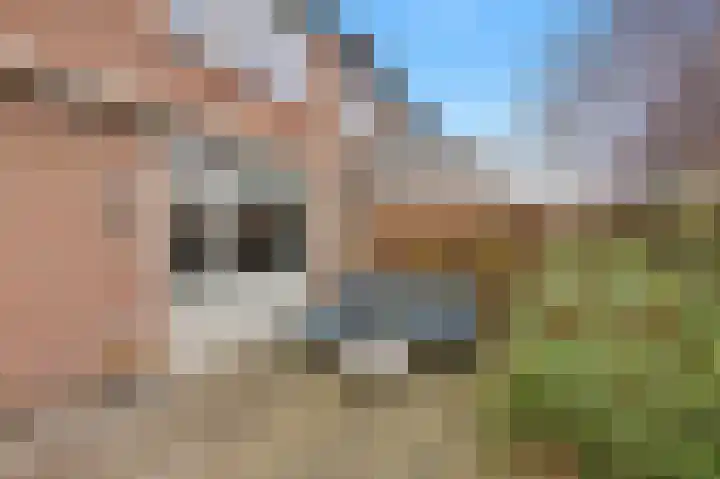 Talingstraat 4 Groet thumbnail 44