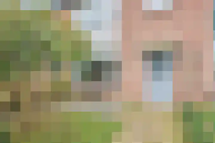 Talingstraat 4 Groet thumbnail 6