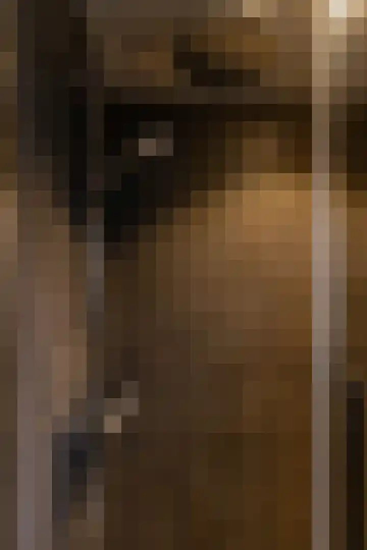 Talingstraat 5 Foxhol thumbnail 15