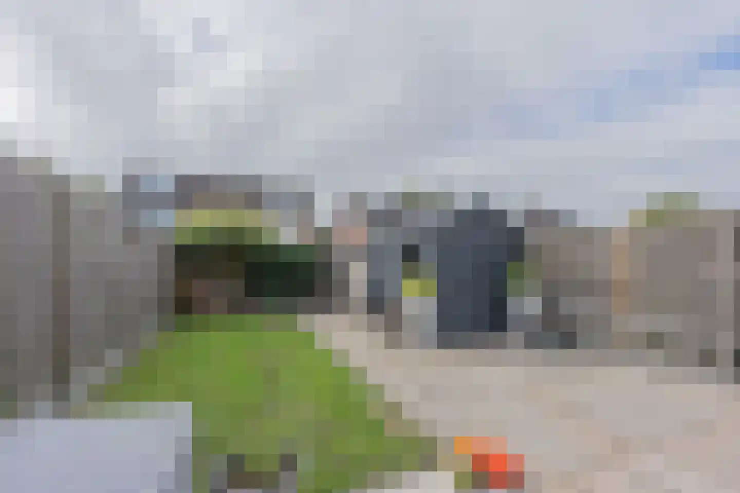Talingstraat 50 Heinkenszand thumbnail 61