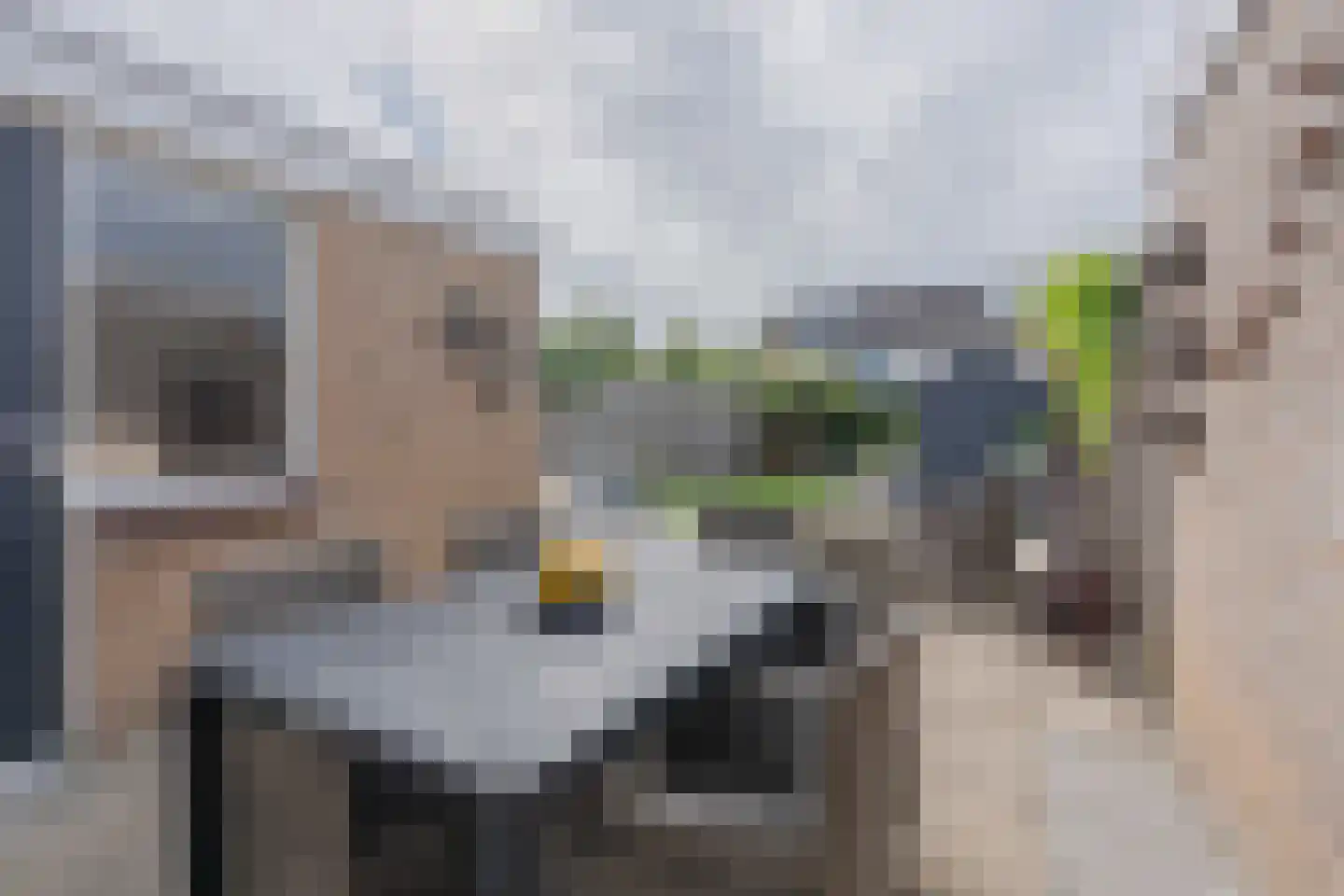 Talingstraat 50 Heinkenszand thumbnail 67