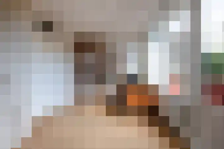 Talingstraat 64 Wormer thumbnail 32