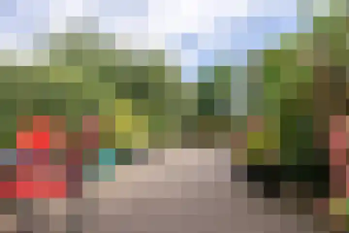Talingstraat 64 Wormer thumbnail 33