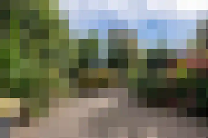 Talingstraat 64 Wormer thumbnail 34