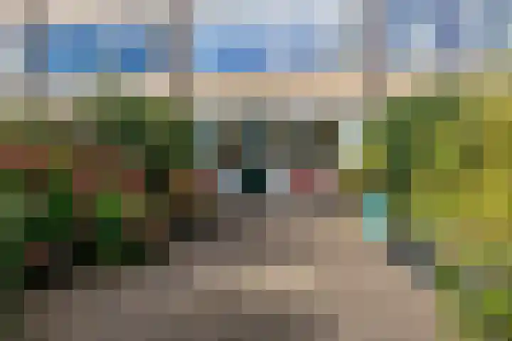 Talingstraat 64 Wormer thumbnail 36