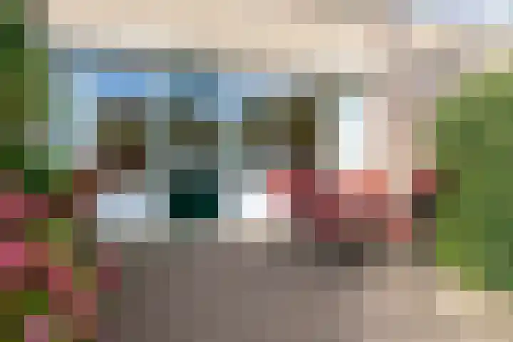 Talingstraat 64 Wormer thumbnail 37