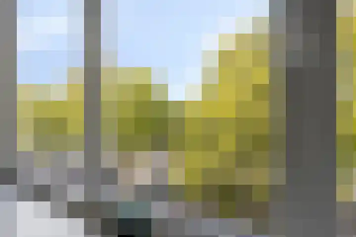 Talingweg 62 C 3 Apeldoorn thumbnail 13