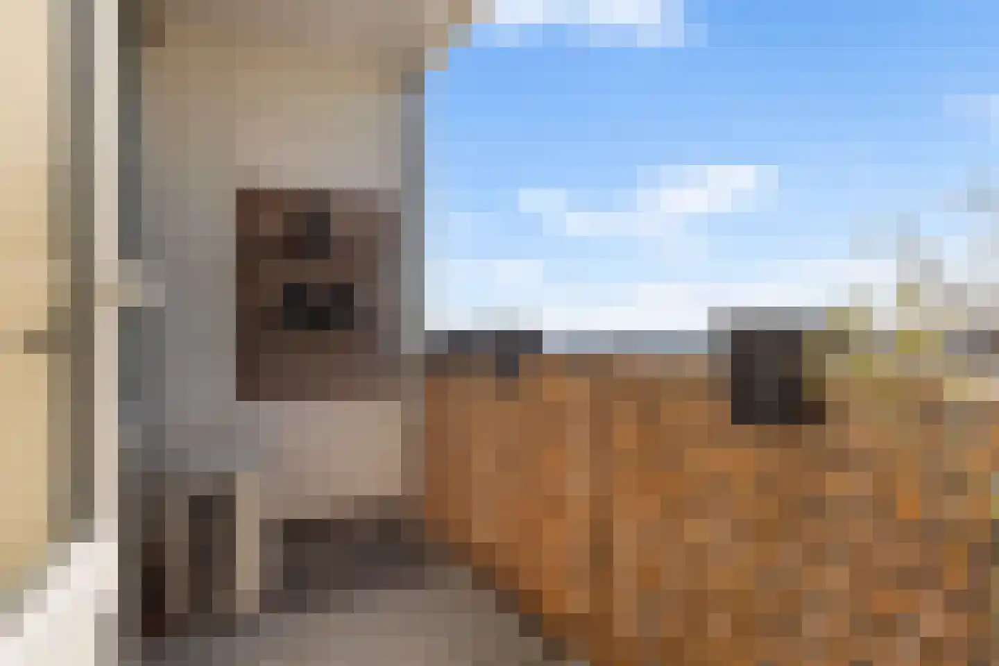 Talingweg 95 Apeldoorn thumbnail 5