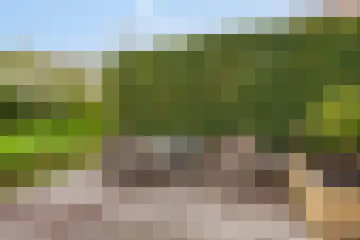 Talingweide 73 IJsselstein thumbnail 31