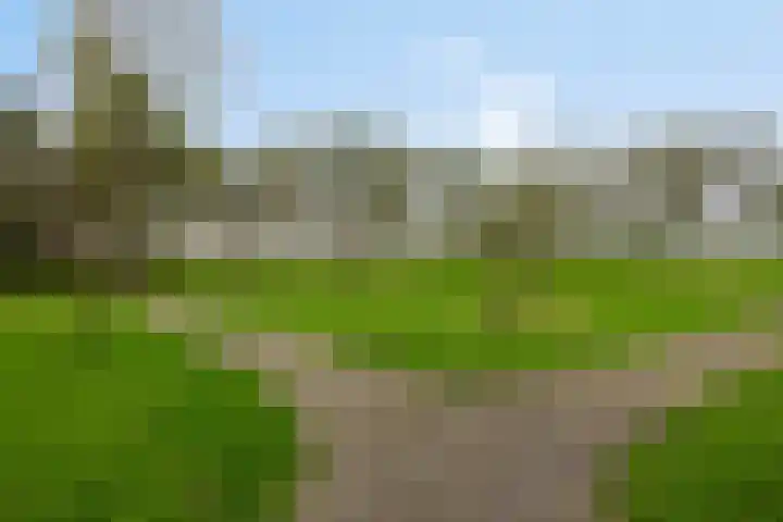 Talingweide 73 IJsselstein thumbnail 41