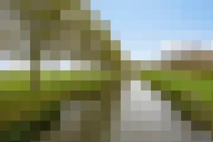 Talingweide 73 IJsselstein thumbnail 42
