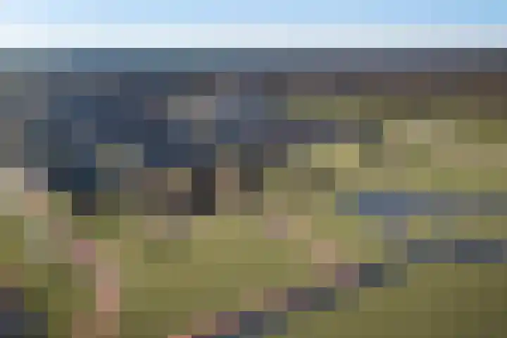 Talithastraat 14 Zuidhorn thumbnail 5