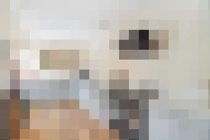Talmalaan 1 A Soest thumbnail 10
