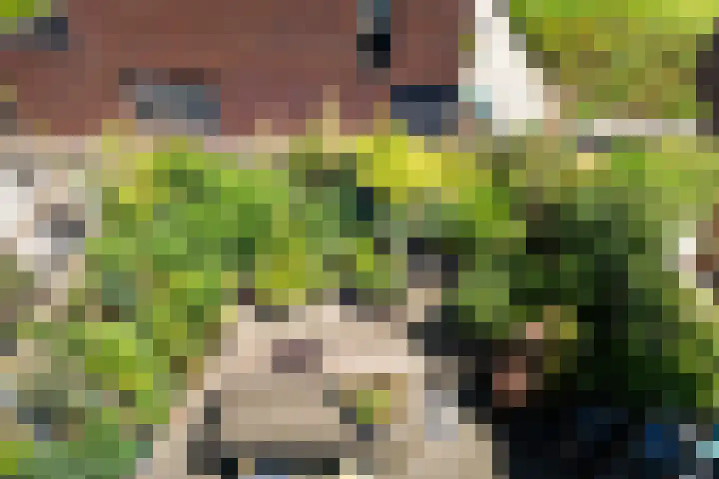 Talmalaan 103 Utrecht thumbnail 22