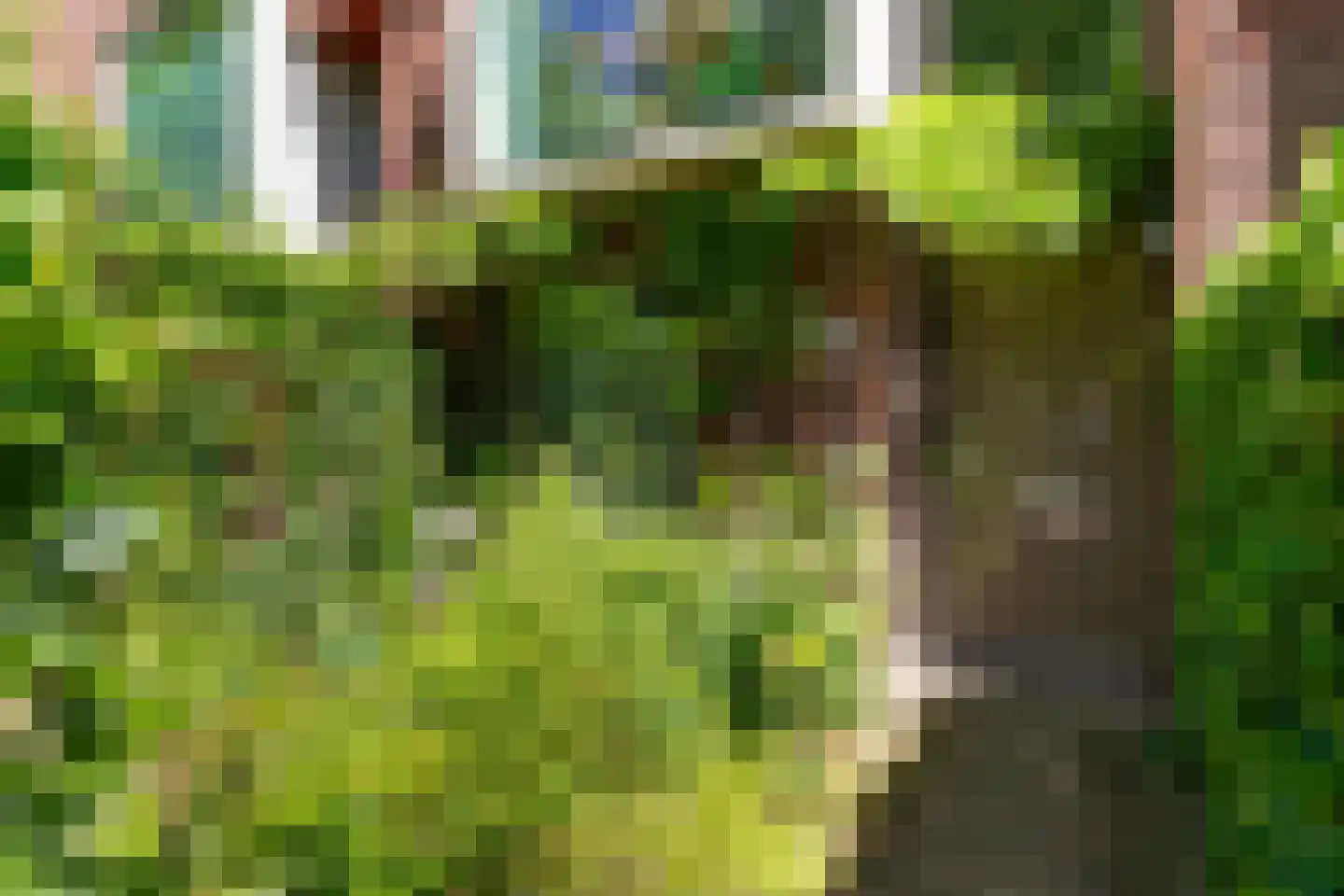 Talmalaan 103 Utrecht thumbnail 5
