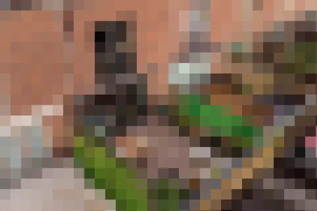 Talmalaan 129 Utrecht thumbnail 26