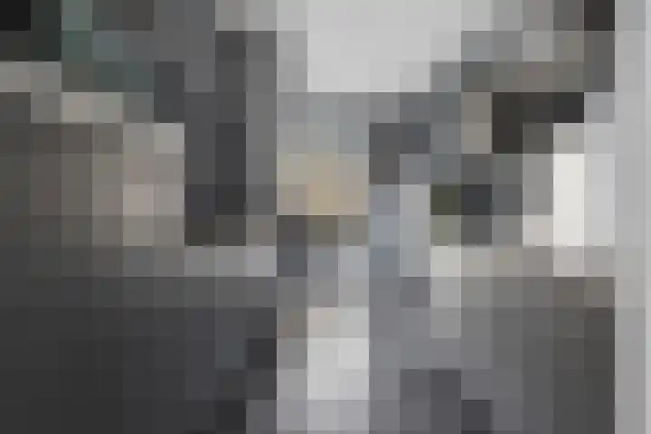 Talmalaan 145 Utrecht thumbnail 10