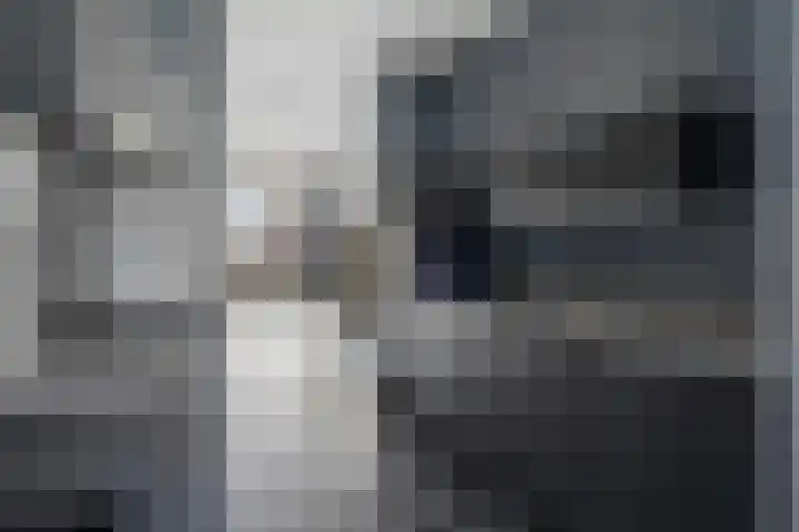 Talmalaan 145 Utrecht thumbnail 11