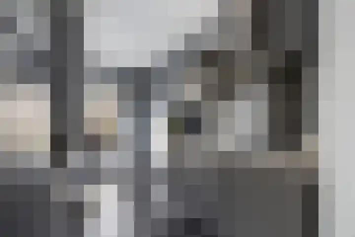 Talmalaan 145 Utrecht thumbnail 12